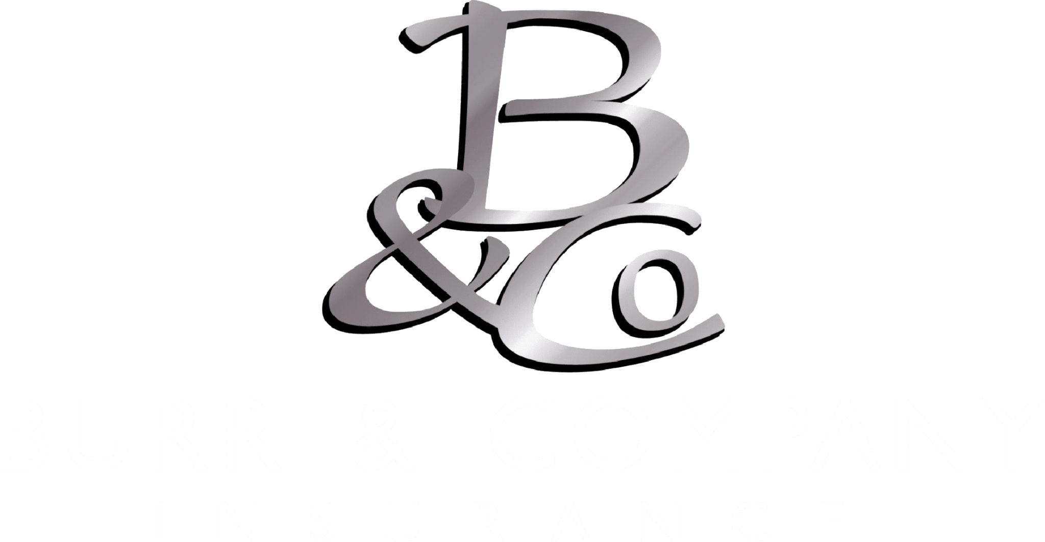 https://www.burrcompany.com/wp-content/uploads/2020/12/cropped-burr_final_white.png
